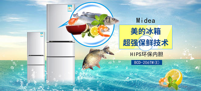 加拿大护照电子版哪里有卖